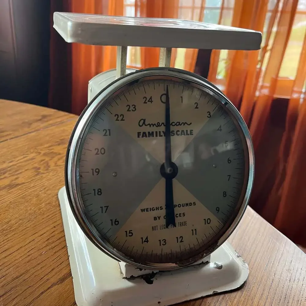 Vintage American Family Kitchen Scale 25 Lbs